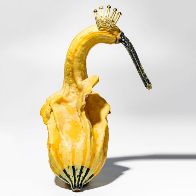 Le règne des fruits