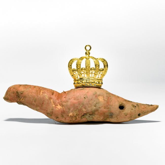 Le règne des fruits