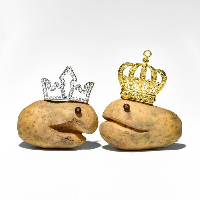 Le règne des fruits