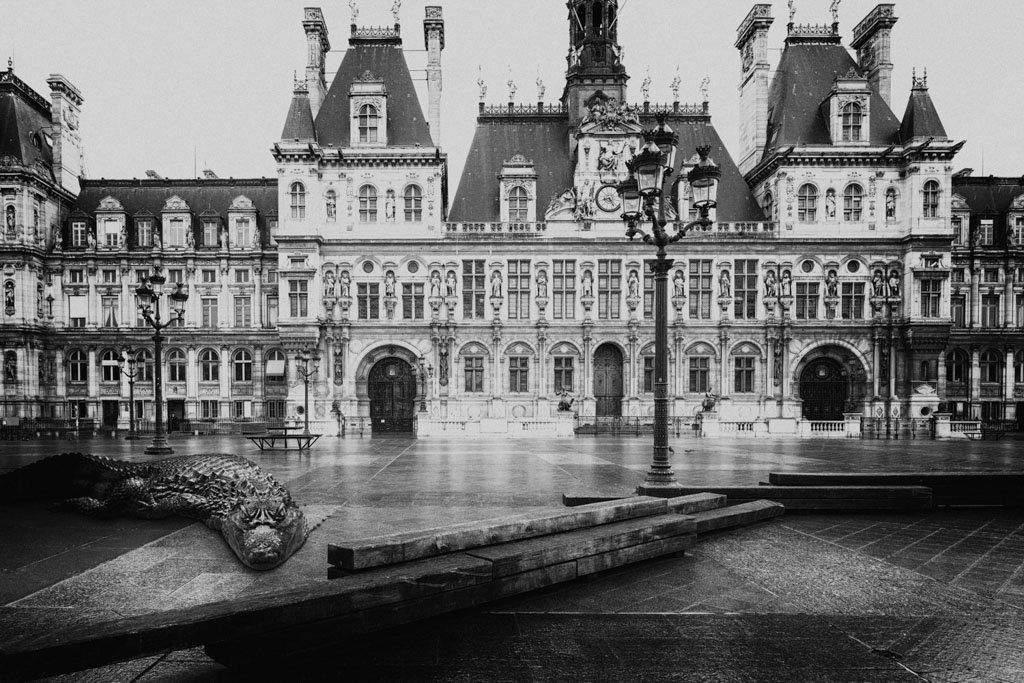 Pendant ce temps suspendu du premier confinement, je suis partie à la recherche de tous ces animaux qui semblaient avoir repris possession de leur territoire, ou plutôt du nôtre : la ville !

La presse évoquait l’apparition de lièvres, de renards, de cerfs et de biches déambulant librement dans les rues des villes, la réalité s’est avérée toute autre. Mis à part quelques canards, pigeons et moineaux, Paris restait déserte et muette.

L’idée s’est imposée, si je désirais voir surgir ce monde imaginaire et magique où tout un bestiaire d’espèces rares et menacées s’inviterait dans les rues de Paris en visiteurs inattendus, il fallait donc l’inventer et tenter de répondre ainsi aux attentes de ce fantasme collectif.

Je me suis alors souvenu de photos d’hier réalisées au Parc Zoologique de Paris que j’ai complétées par de nouvelles images prises le jour même de la réouverture officielle du Parc Zoologique de Paris le 8 juin 2020.

Ainsi l’histoire de ces bêtes extraordinaires dans Paris pouvait être racontée…

* Les Zoonoses sont des maladies ou infections qui se transmettent des animaux vertébrés à l'homme et vice versa. Les pathogènes en cause peuvent être des bactéries, des virus ou des parasites. Ou plutôt l'inverse, je ne sais plus ?!
Animaux rares et espèces menacées échappés du zoo de Vincennes s'étaient invités dans Paris.
A travers ZOOnose j'ai tenté de recréer l'imaginaire collectif pendant ce premier confinement.

Les Zoonoses sont des maladies ou infections qui se transmettent des animaux vertébrés à l'homme et vice versa. Les pathogènes en cause peuvent être des bactéries, des virus ou des parasites.