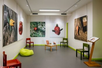 Les Fruits de mon imagination à la Médiathèque de Vélizy 2015