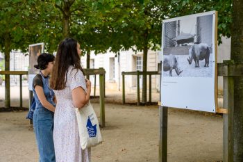 Promenades photographiques 2022