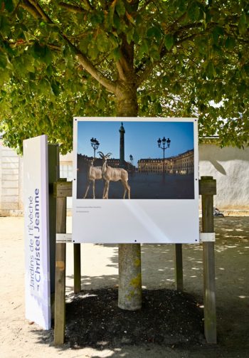 Promenades photographiques 2022