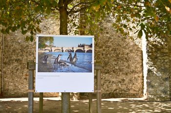 Promenades photographiques 2022