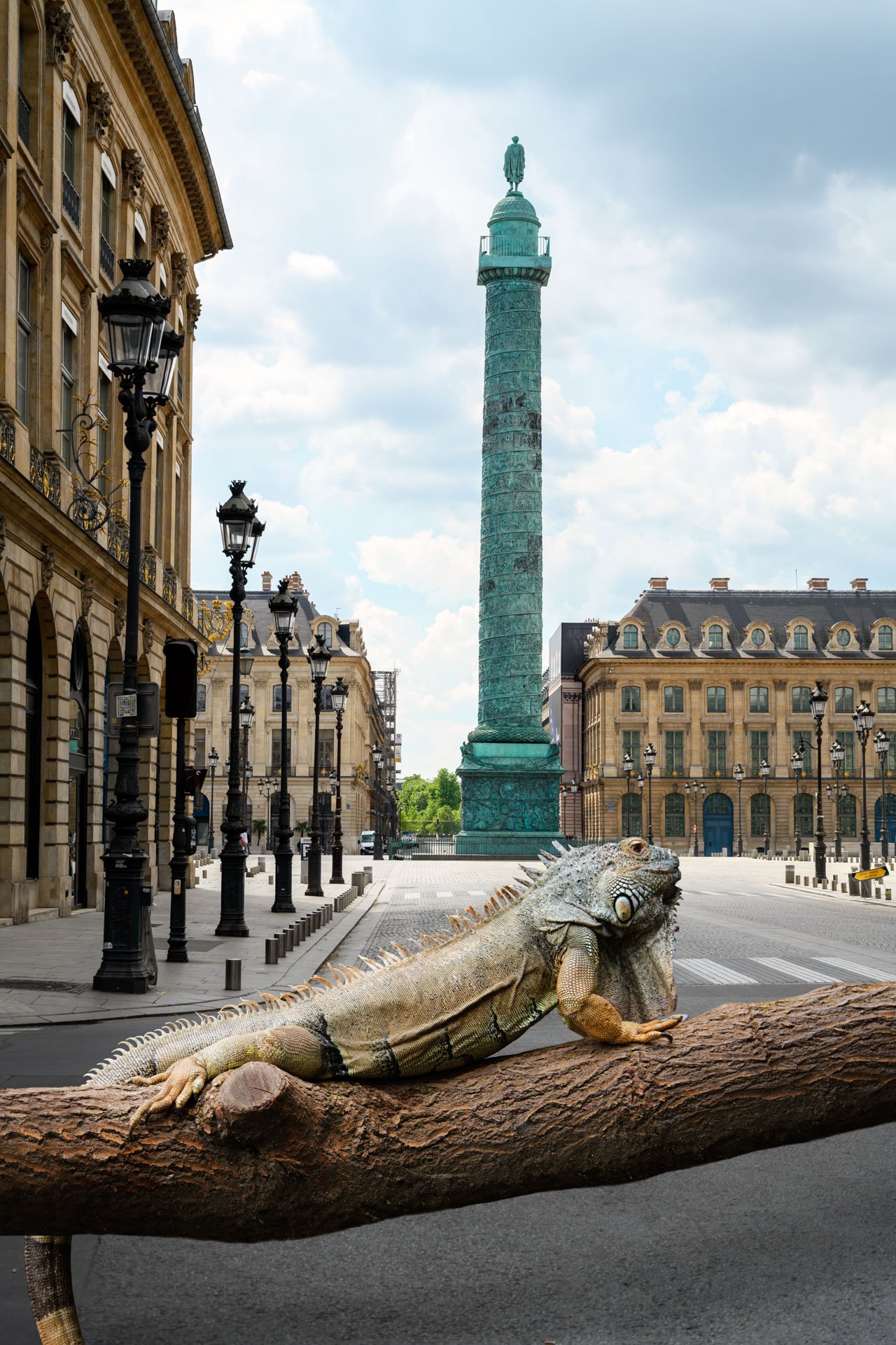 Pendant ce temps suspendu du premier confinement, je suis partie à la recherche de tous ces animaux qui semblaient avoir repris possession de leur territoire, ou plutôt du nôtre : la ville !
La presse évoquait l’apparition de lièvres, de renards, de cerfs et de biches déambulant librement dans les rues des villes, la réalité s’est avérée toute autre. Mis à part quelques canards, pigeons et moineaux, Paris restait déserte et muette.
L’idée s’est imposée, si je désirais voir surgir ce monde imaginaire et magique où tout un bestiaire d’espèces rares et menacées s’inviterait dans les rues de Paris en visiteurs inattendus, il fallait donc l’inventer et tenter de répondre ainsi aux attentes de ce fantasme collectif.
Je me suis alors souvenu de photos d’hier réalisées au Parc Zoologique de Paris que j’ai complétées par de nouvelles images prises le jour même de la réouverture officielle du Parc Zoologique de Paris le 8 juin 2020.
Ainsi l’histoire de ces bêtes extraordinaires dans Paris pouvait être racontée…
Les Zoonoses sont des maladies ou infections qui se transmettent des animaux vertébrés à l'homme et vice versa. Les pathogènes en cause peuvent être des bactéries, des virus ou des parasites.