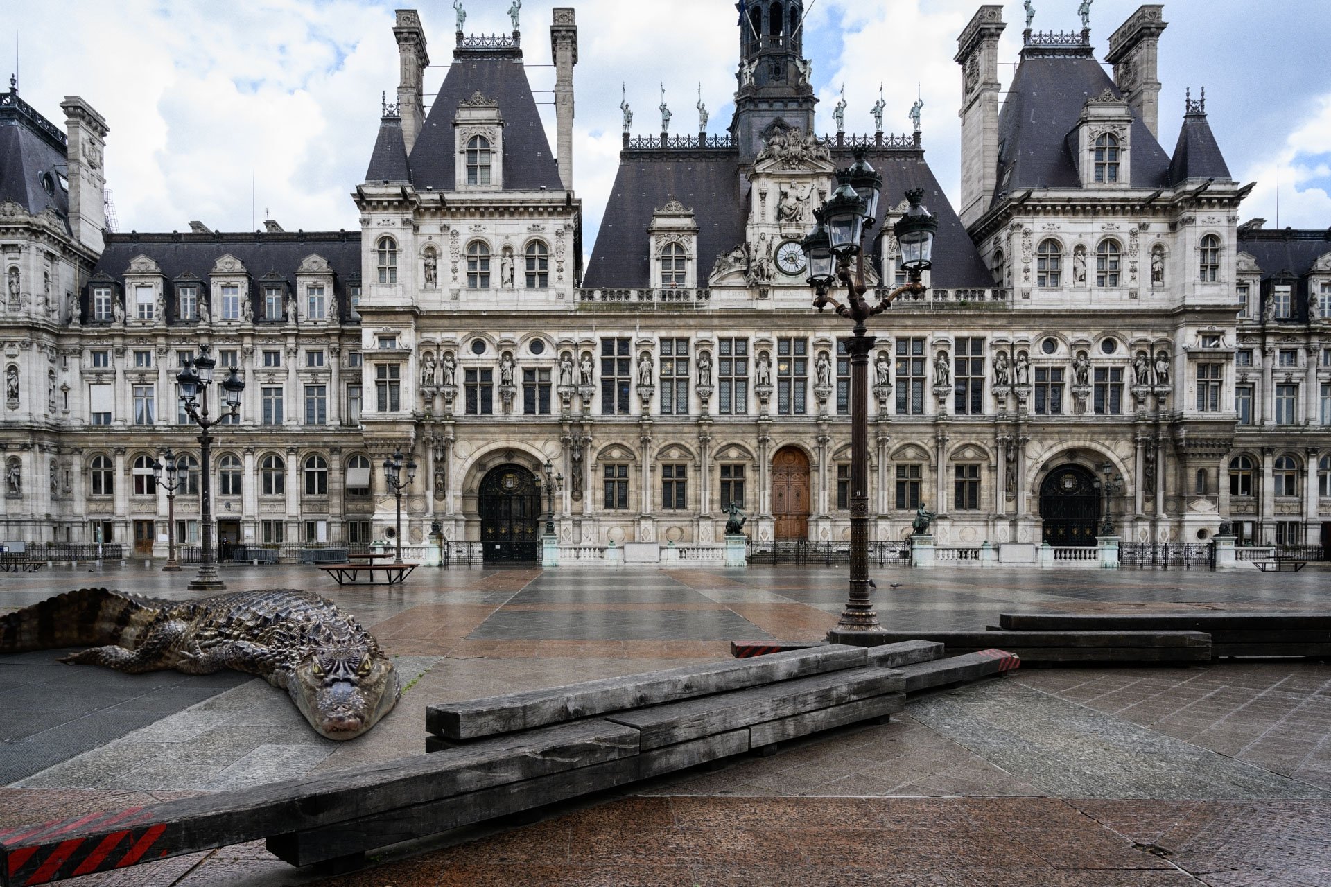 Pendant ce temps suspendu du premier confinement, je suis partie à la recherche de tous ces animaux qui semblaient avoir repris possession de leur territoire, ou plutôt du nôtre : la ville !
La presse évoquait l’apparition de lièvres, de renards, de cerfs et de biches déambulant librement dans les rues des villes, la réalité s’est avérée toute autre. Mis à part quelques canards, pigeons et moineaux, Paris restait déserte et muette.
L’idée s’est imposée, si je désirais voir surgir ce monde imaginaire et magique où tout un bestiaire d’espèces rares et menacées s’inviterait dans les rues de Paris en visiteurs inattendus, il fallait donc l’inventer et tenter de répondre ainsi aux attentes de ce fantasme collectif.
Je me suis alors souvenu de photos d’hier réalisées au Parc Zoologique de Paris que j’ai complétées par de nouvelles images prises le jour même de la réouverture officielle du Parc Zoologique de Paris le 8 juin 2020.
Ainsi l’histoire de ces bêtes extraordinaires dans Paris pouvait être racontée…
Les Zoonoses sont des maladies ou infections qui se transmettent des animaux vertébrés à l'homme et vice versa. Les pathogènes en cause peuvent être des bactéries, des virus ou des parasites.