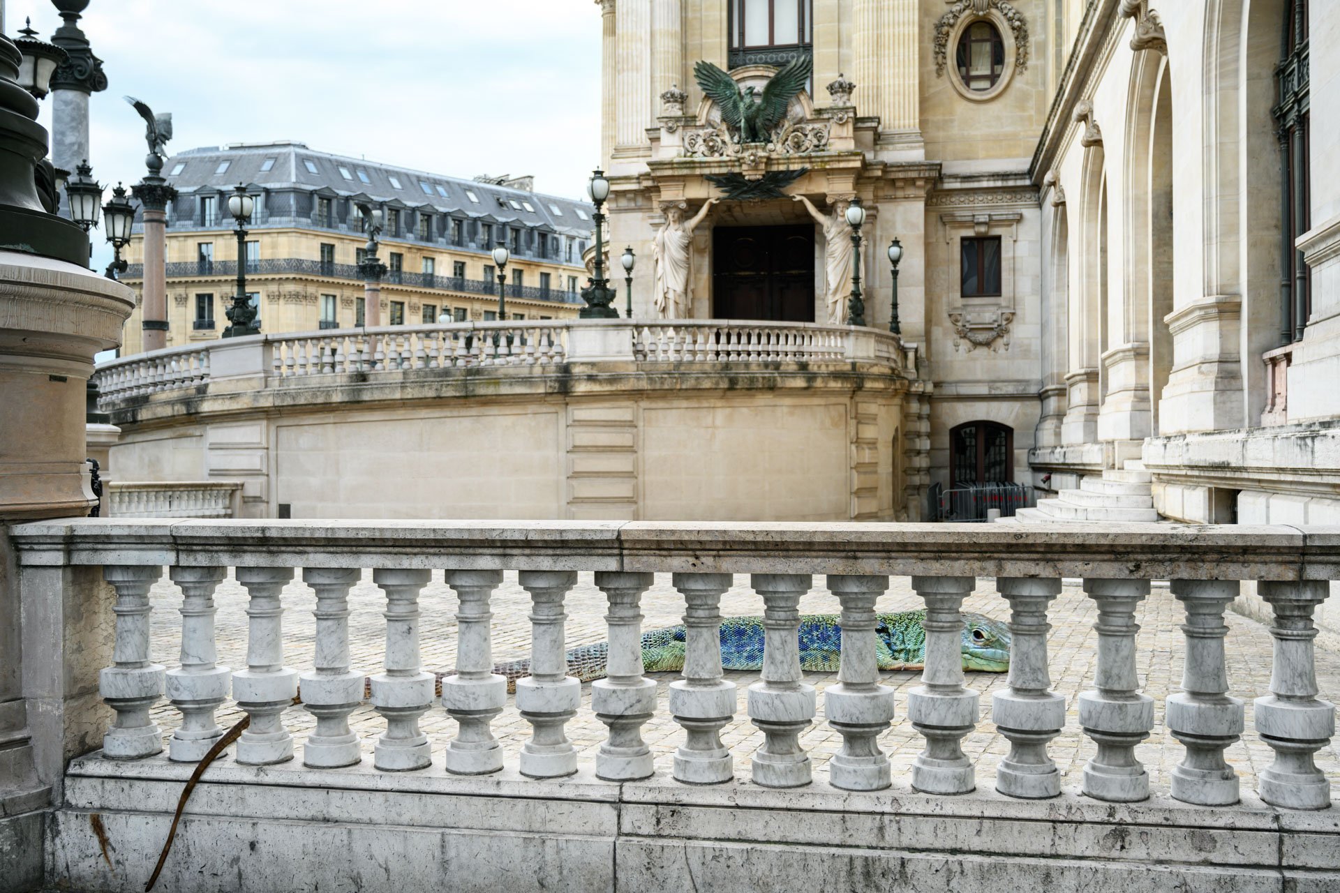 Pendant ce temps suspendu du premier confinement, je suis partie à la recherche de tous ces animaux qui semblaient avoir repris possession de leur territoire, ou plutôt du nôtre : la ville !
La presse évoquait l’apparition de lièvres, de renards, de cerfs et de biches déambulant librement dans les rues des villes, la réalité s’est avérée toute autre. Mis à part quelques canards, pigeons et moineaux, Paris restait déserte et muette.
L’idée s’est imposée, si je désirais voir surgir ce monde imaginaire et magique où tout un bestiaire d’espèces rares et menacées s’inviterait dans les rues de Paris en visiteurs inattendus, il fallait donc l’inventer et tenter de répondre ainsi aux attentes de ce fantasme collectif.
Je me suis alors souvenu de photos d’hier réalisées au Parc Zoologique de Paris que j’ai complétées par de nouvelles images prises le jour même de la réouverture officielle du Parc Zoologique de Paris le 8 juin 2020.
Ainsi l’histoire de ces bêtes extraordinaires dans Paris pouvait être racontée…
Les Zoonoses sont des maladies ou infections qui se transmettent des animaux vertébrés à l'homme et vice versa. Les pathogènes en cause peuvent être des bactéries, des virus ou des parasites.