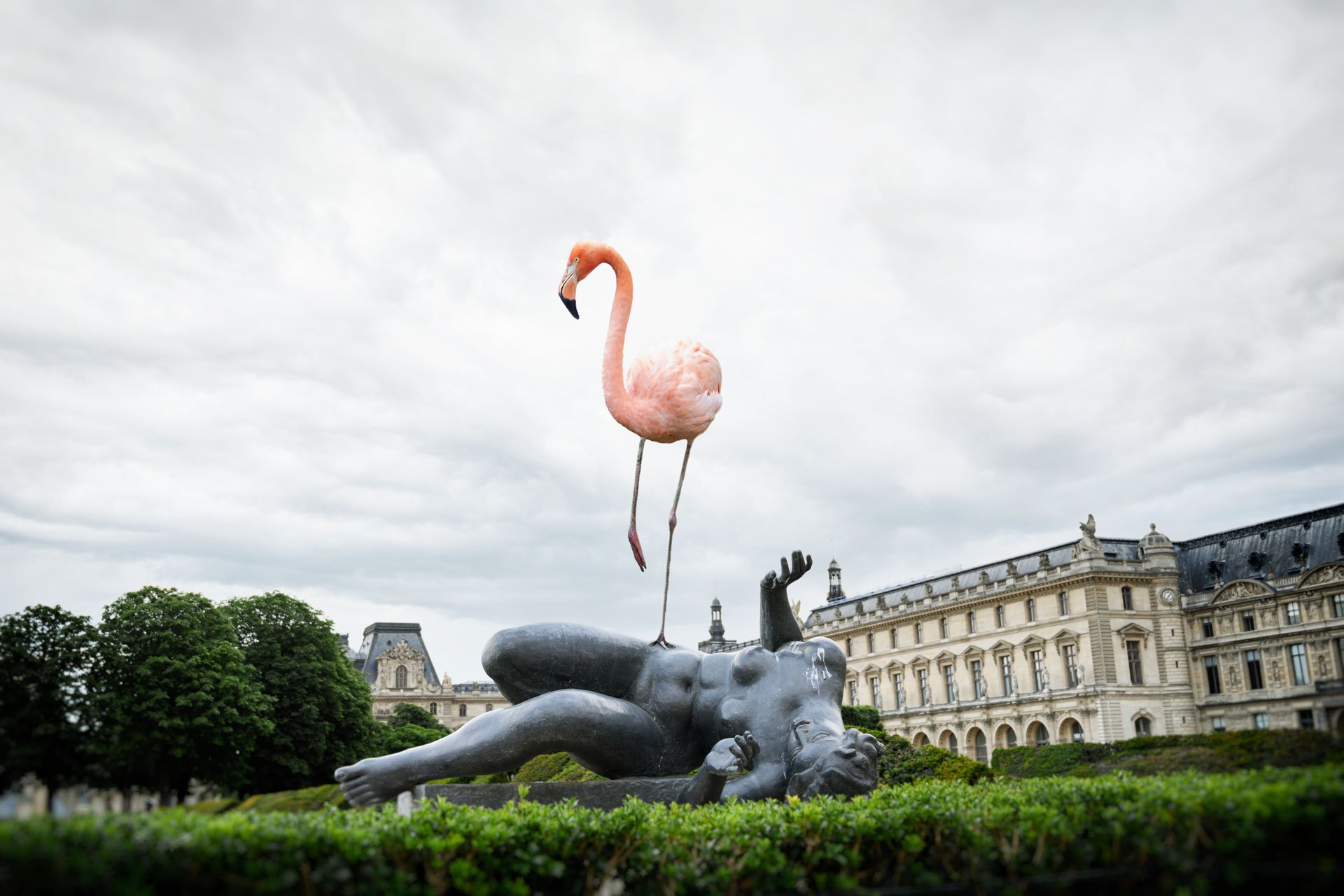Pendant ce temps suspendu du premier confinement, je suis partie à la recherche de tous ces animaux qui semblaient avoir repris possession de leur territoire, ou plutôt du nôtre : la ville !
La presse évoquait l’apparition de lièvres, de renards, de cerfs et de biches déambulant librement dans les rues des villes, la réalité s’est avérée toute autre. Mis à part quelques canards, pigeons et moineaux, Paris restait déserte et muette.
L’idée s’est imposée, si je désirais voir surgir ce monde imaginaire et magique où tout un bestiaire d’espèces rares et menacées s’inviterait dans les rues de Paris en visiteurs inattendus, il fallait donc l’inventer et tenter de répondre ainsi aux attentes de ce fantasme collectif.
Je me suis alors souvenu de photos d’hier réalisées au Parc Zoologique de Paris que j’ai complétées par de nouvelles images prises le jour même de la réouverture officielle du Parc Zoologique de Paris le 8 juin 2020.
Ainsi l’histoire de ces bêtes extraordinaires dans Paris pouvait être racontée…
Les Zoonoses sont des maladies ou infections qui se transmettent des animaux vertébrés à l'homme et vice versa. Les pathogènes en cause peuvent être des bactéries, des virus ou des parasites.