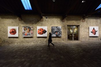 Les Fruits de mon imagination, Bercy Village 2014