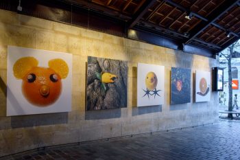 Les Fruits de mon imagination, Bercy Village 2014