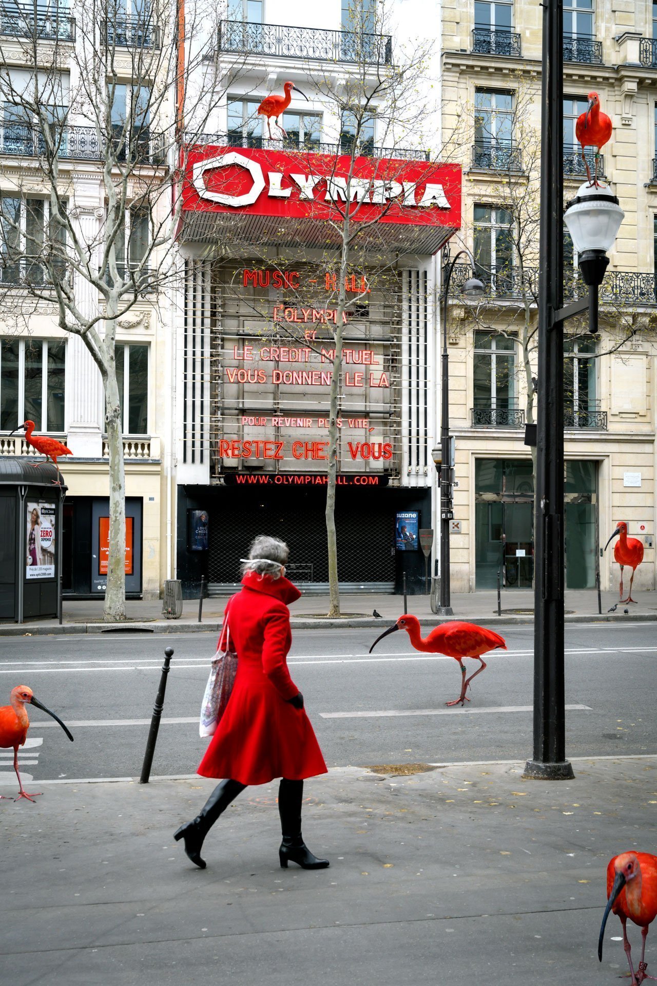 Pendant ce temps suspendu du premier confinement, je suis partie à la recherche de tous ces animaux qui semblaient avoir repris possession de leur territoire, ou plutôt du nôtre : la ville !
La presse évoquait l’apparition de lièvres, de renards, de cerfs et de biches déambulant librement dans les rues des villes, la réalité s’est avérée toute autre. Mis à part quelques canards, pigeons et moineaux, Paris restait déserte et muette.
L’idée s’est imposée, si je désirais voir surgir ce monde imaginaire et magique où tout un bestiaire d’espèces rares et menacées s’inviterait dans les rues de Paris en visiteurs inattendus, il fallait donc l’inventer et tenter de répondre ainsi aux attentes de ce fantasme collectif.
Je me suis alors souvenu de photos d’hier réalisées au Parc Zoologique de Paris que j’ai complétées par de nouvelles images prises le jour même de la réouverture officielle du Parc Zoologique de Paris le 8 juin 2020.
Ainsi l’histoire de ces bêtes extraordinaires dans Paris pouvait être racontée…
Les Zoonoses sont des maladies ou infections qui se transmettent des animaux vertébrés à l'homme et vice versa. Les pathogènes en cause peuvent être des bactéries, des virus ou des parasites.
