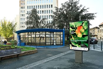 Galerie Ephémère Montreuil 2021