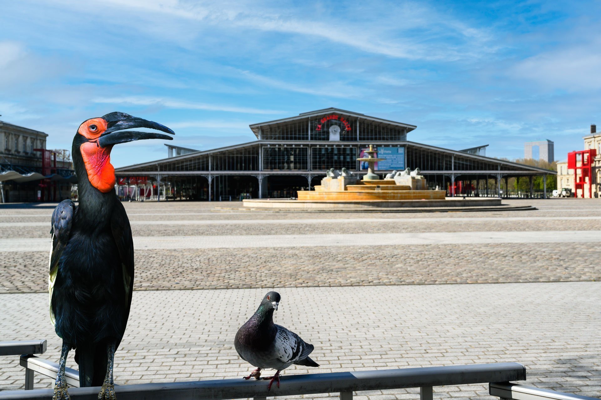 Pendant ce temps suspendu du premier confinement, je suis partie à la recherche de tous ces animaux qui semblaient avoir repris possession de leur territoire, ou plutôt du nôtre : la ville !
La presse évoquait l’apparition de lièvres, de renards, de cerfs et de biches déambulant librement dans les rues des villes, la réalité s’est avérée toute autre. Mis à part quelques canards, pigeons et moineaux, Paris restait déserte et muette.
L’idée s’est imposée, si je désirais voir surgir ce monde imaginaire et magique où tout un bestiaire d’espèces rares et menacées s’inviterait dans les rues de Paris en visiteurs inattendus, il fallait donc l’inventer et tenter de répondre ainsi aux attentes de ce fantasme collectif.
Je me suis alors souvenu de photos d’hier réalisées au Parc Zoologique de Paris que j’ai complétées par de nouvelles images prises le jour même de la réouverture officielle du Parc Zoologique de Paris le 8 juin 2020.
Ainsi l’histoire de ces bêtes extraordinaires dans Paris pouvait être racontée…
Les Zoonoses sont des maladies ou infections qui se transmettent des animaux vertébrés à l'homme et vice versa. Les pathogènes en cause peuvent être des bactéries, des virus ou des parasites.