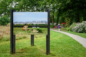 Exposition ZOOnose à Ploermel