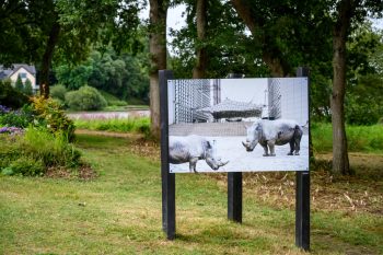Exposition ZOOnose à Ploermel