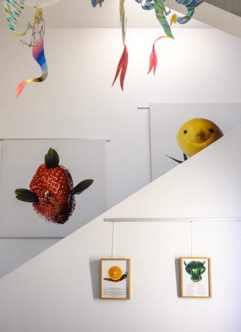 Exposition Cité Maraichère de Romainville