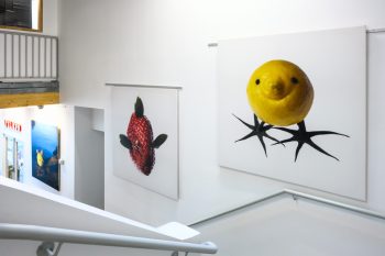Exposition Cité Maraichère de Romainville