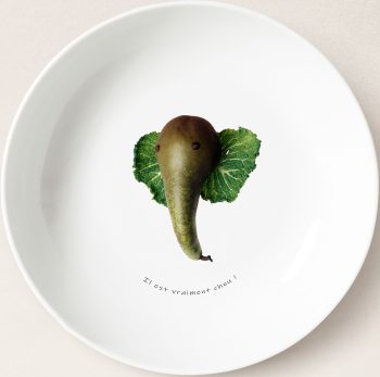 Il est vraiment chou !