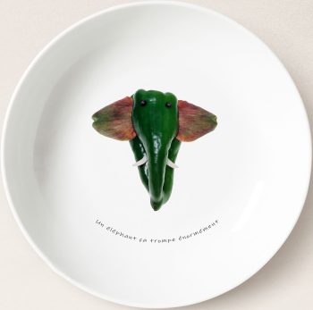 Un éléphant ça trompe énormément