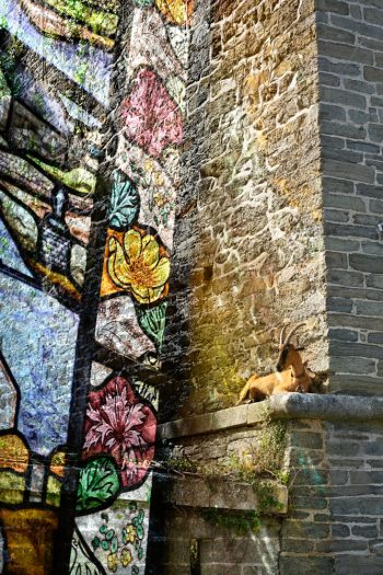 Impressions sur Belle-Ile